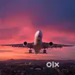 350+ seats Hiring Male Female Candidates in INDIGO AIRLINES