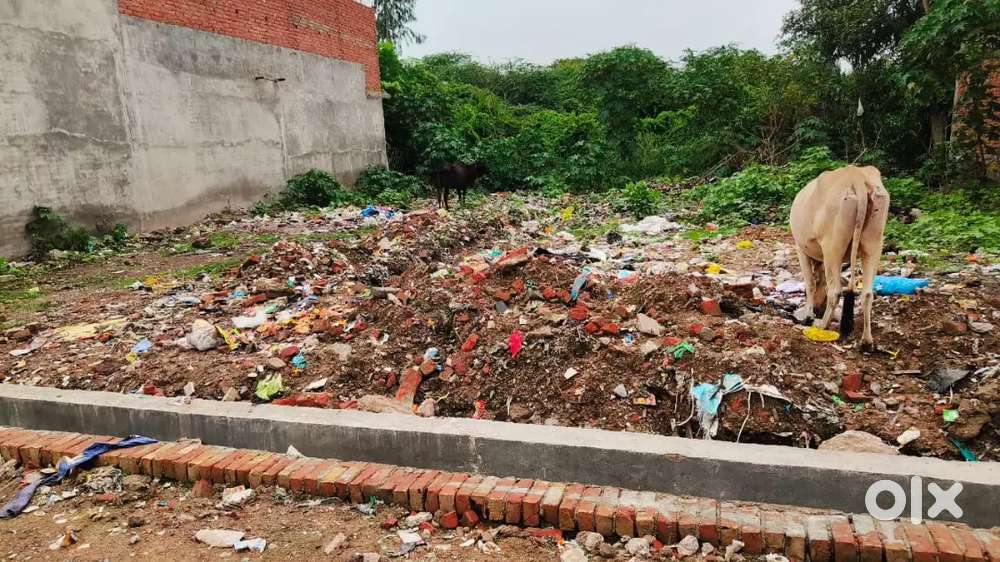 100 gaj araji plot for sale near