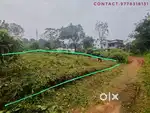 Land sale in kottavayal, per cent-2.25lac ,Price slightly negotiable