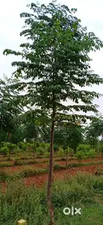Open plots for sale at Bhongir with EMI Option Avail Hurry with Huge s
