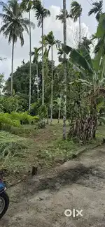 ഇരിഞ്ഞാലക്കുട സെന്റ് ജോസഫ് കോളേജിനടുത്ത് 15സെന്റ് സ്ഥലം വിൽപ്പനയ്ക്ക്