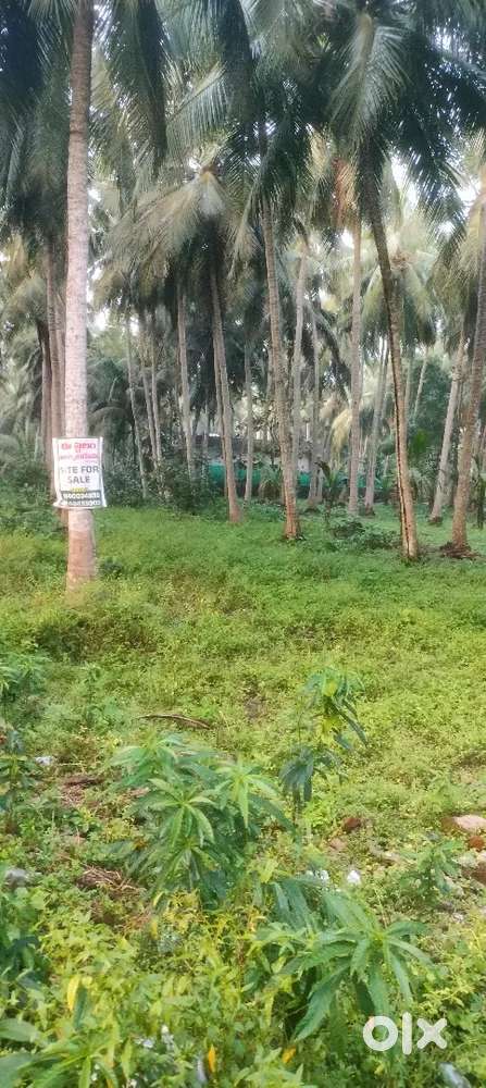 8 santlu site for sale