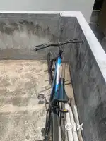 Luisstone 26 cycle exported from punjab double disk