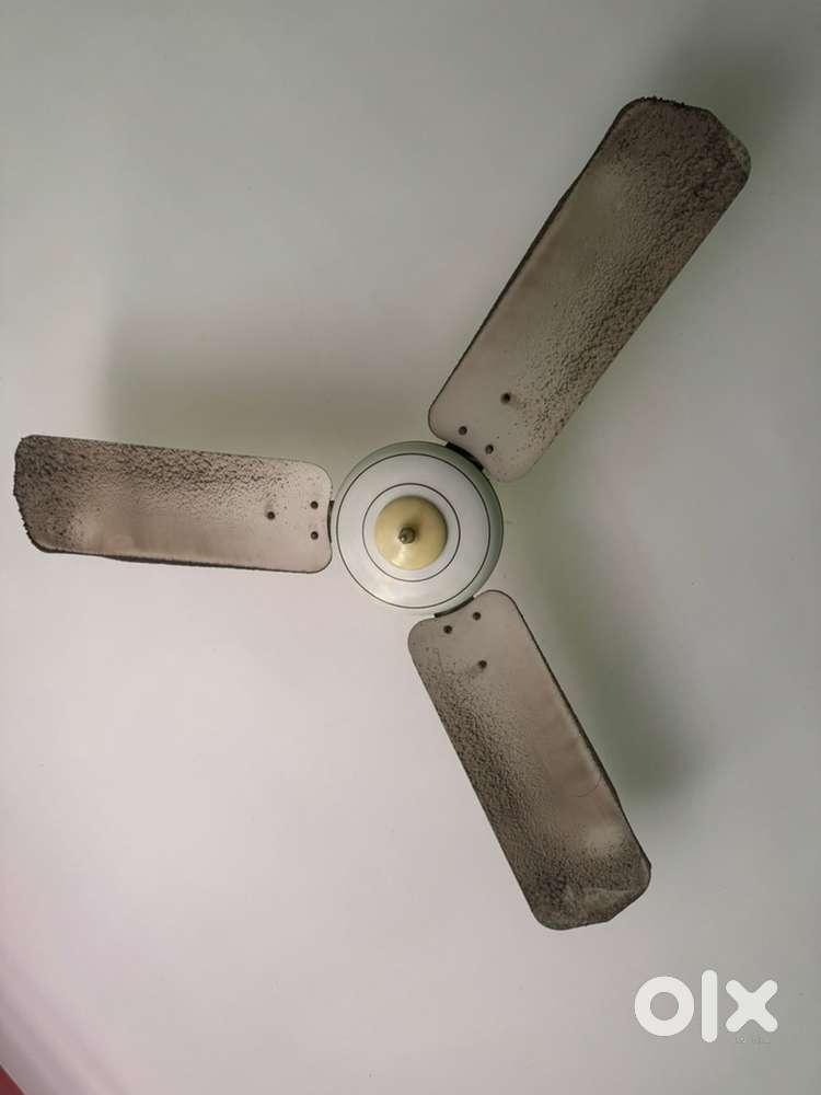 Ceiling Fan