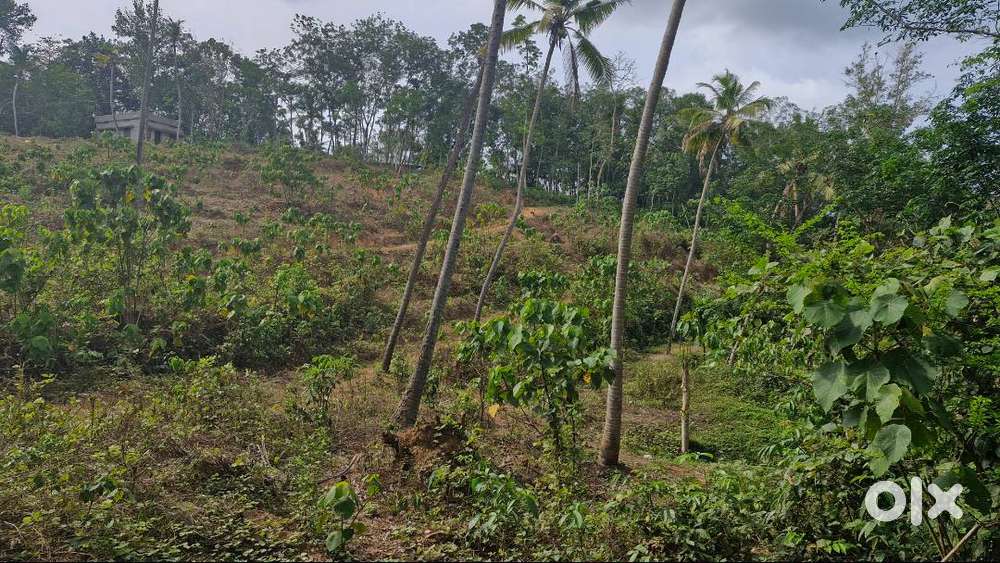 Land for sale at Madavoor, Kilimanoor