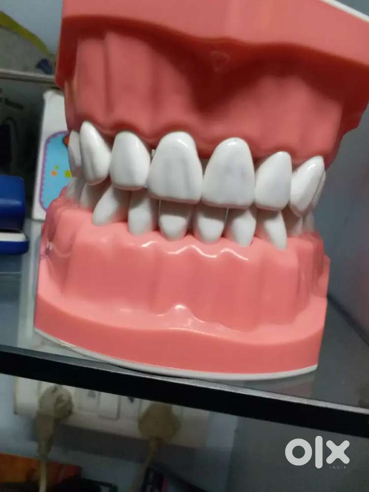 Receptionist for a reputed clinic