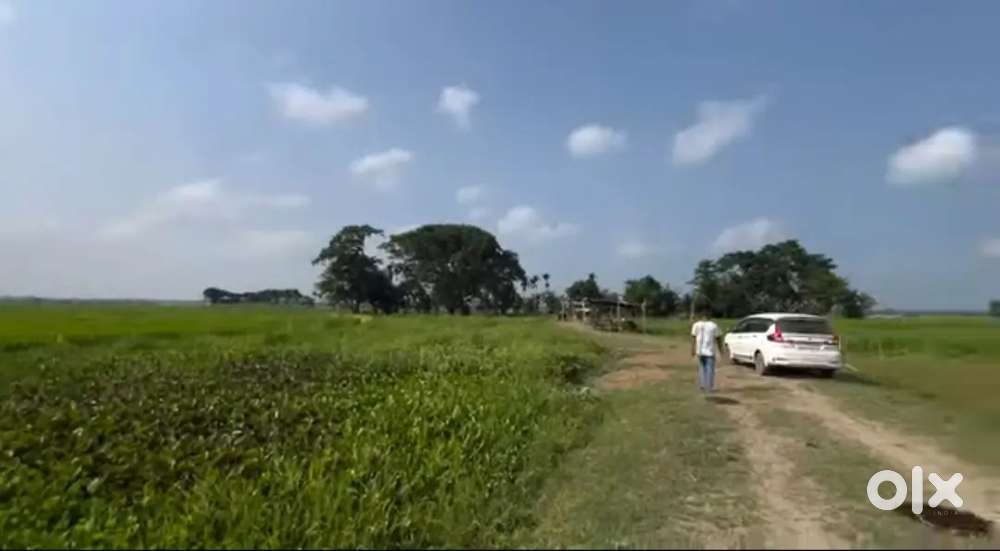 3 Bigha 11L Per Bigha
@Ahotguri, Dharamtul -1 Km distance from highway