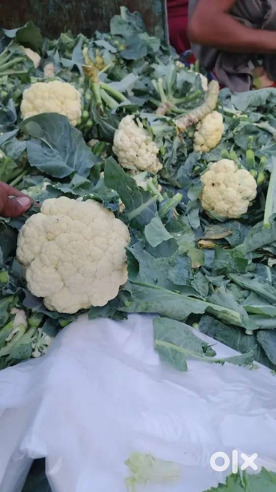 I wanna cook for make food