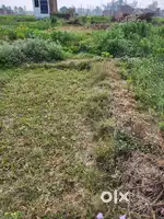 Plots sale new era road ram garh mandir ke paas