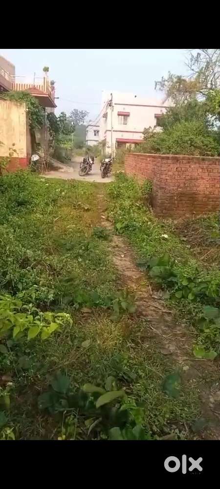 2 KHATHA PLOT SALE IN DAMODARPUR , KARMATAND, JHARKHAND NAGAR