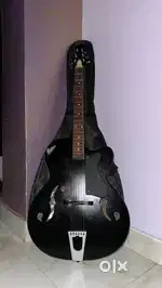 Guitar(Semi Acoustic)