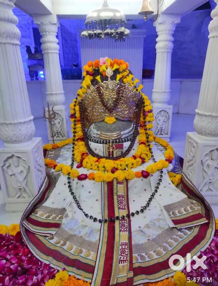 I want to rent my house.