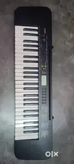 Casio ctk 245