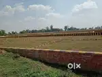 Plots in bihita