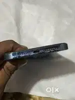 13 pro max