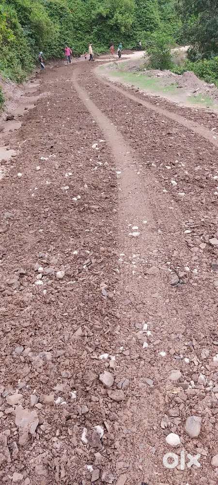 Land for sell morni hills haryana 8 bigha Land 42lakh per bigha dimand