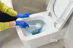 Toilet cleaing 250 rs + Feet massage 1 hour 200 Rupees pls message