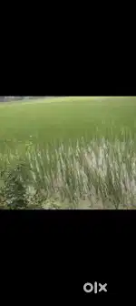 लम्बाई 85, चौड़ाई 16, रजिस्टरी योग्य प्लोट सारनाथ से 2 km आगे