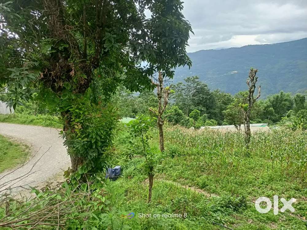 kateng road side at bokrong baar dara