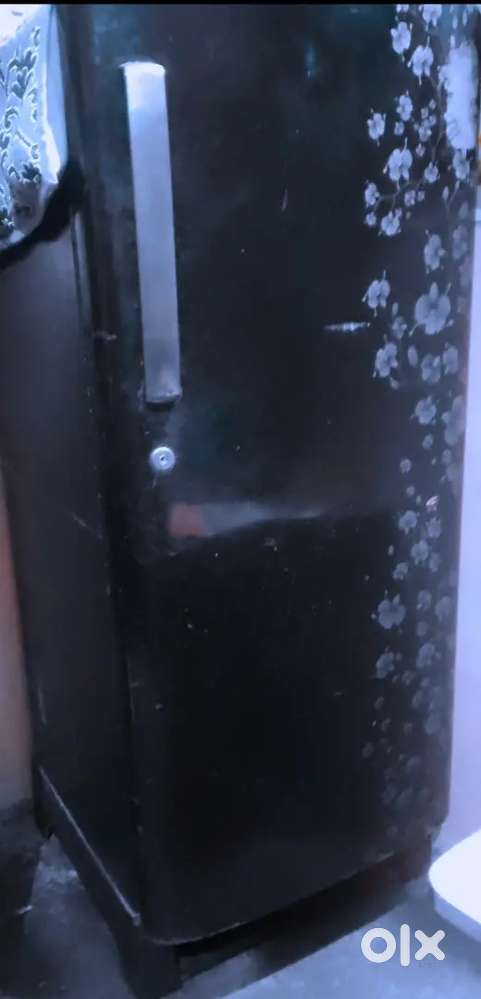 Samsung Company Fridge