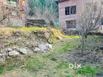 Bhosh near by naggar sarsei 4 biswa 2000000