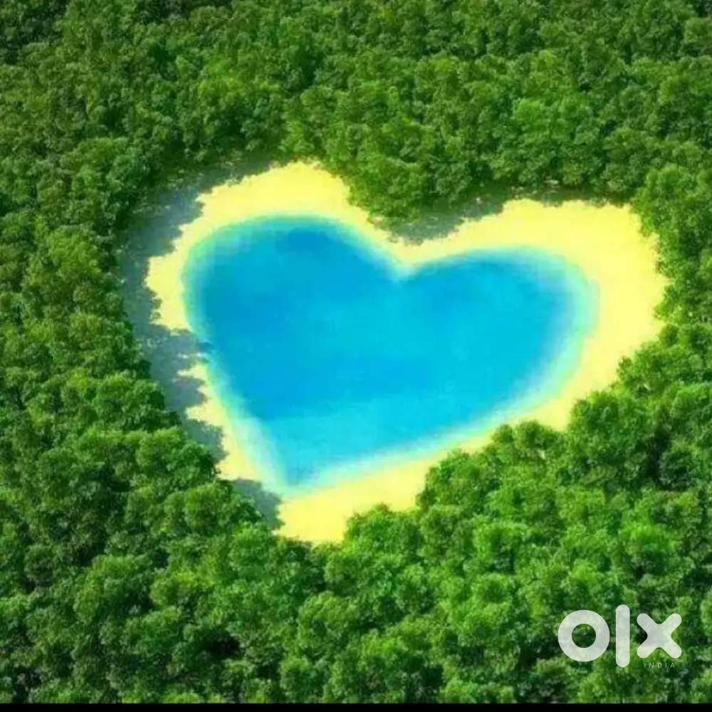 Lansdowne hotel or home stay