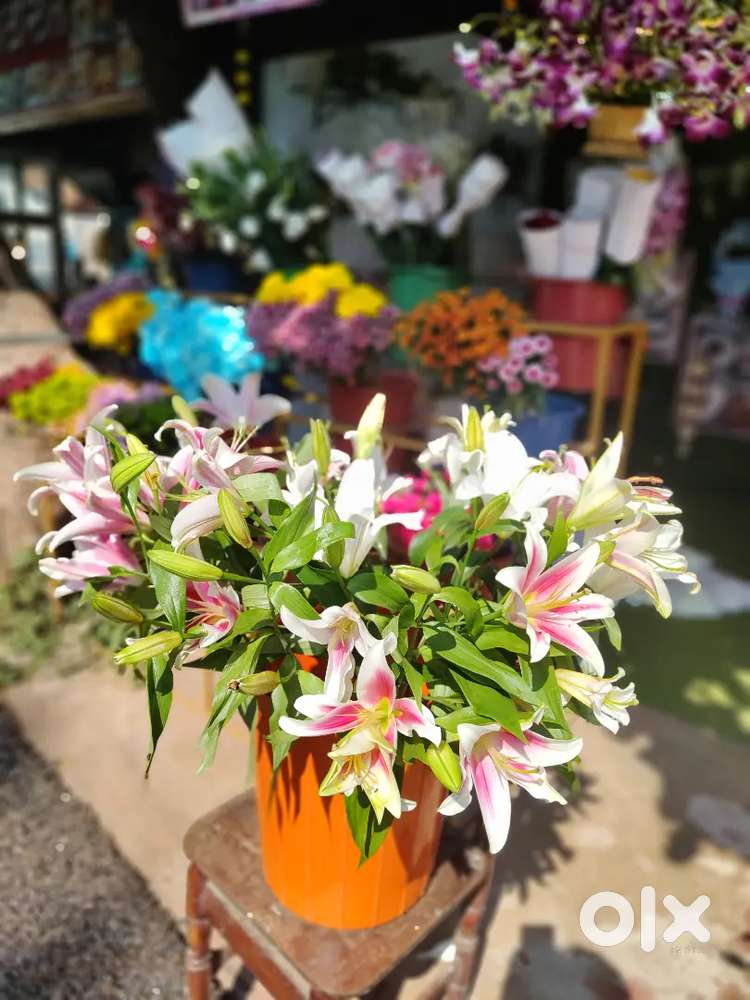 Need Experienced Florist