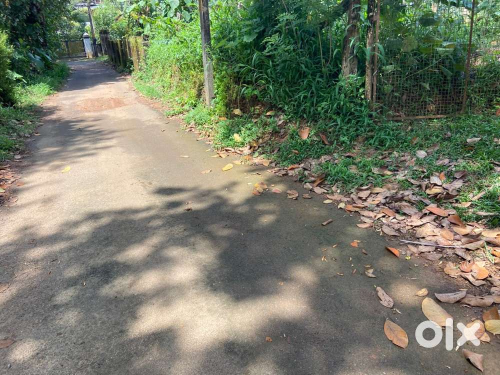 ETTUMANOOR.       KANKKARI