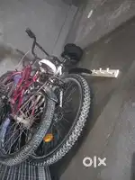 White clean new tyre dove