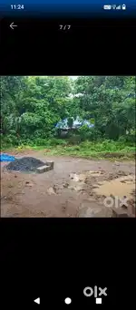 6 സെന്റ്  plot for sale