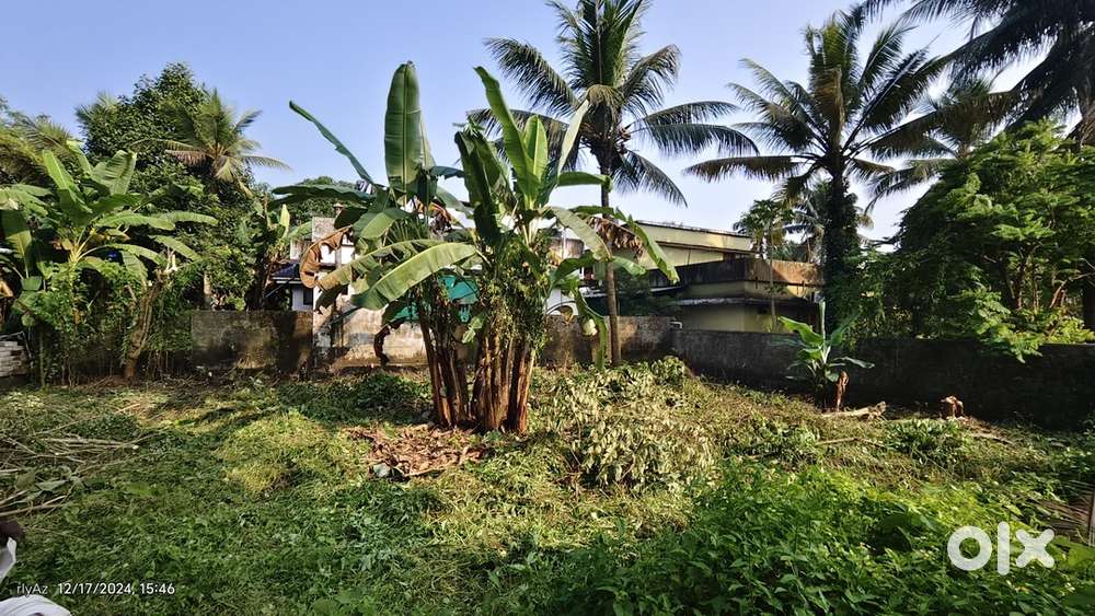 8 cent plot for sale near Muppathadam Kayanttikkara