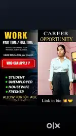 ONLINE WORK