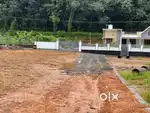 Kothamangalam Nellimattom plots for sale