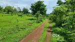 Agriculture Land Sale in Mangaon Raigad