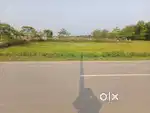FOR SALE MYADI LAND 03 BIGHA 00 KATHA 00 LESSA