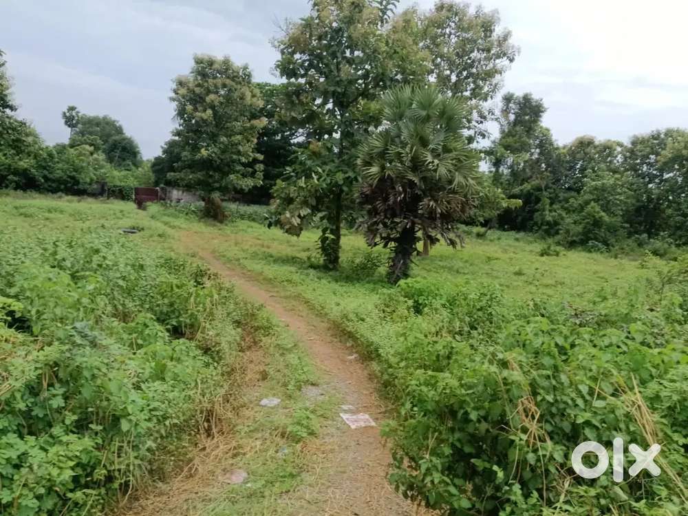 2.2 Acres commercial land in Vizianagaram district. S.kota mandal.