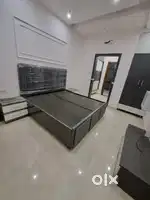 2 bhk Semi Furnished  Independent Kothi For Rent at model town