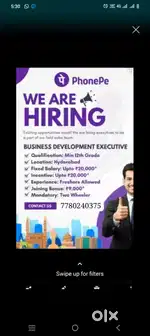 Phonepe (p) limited