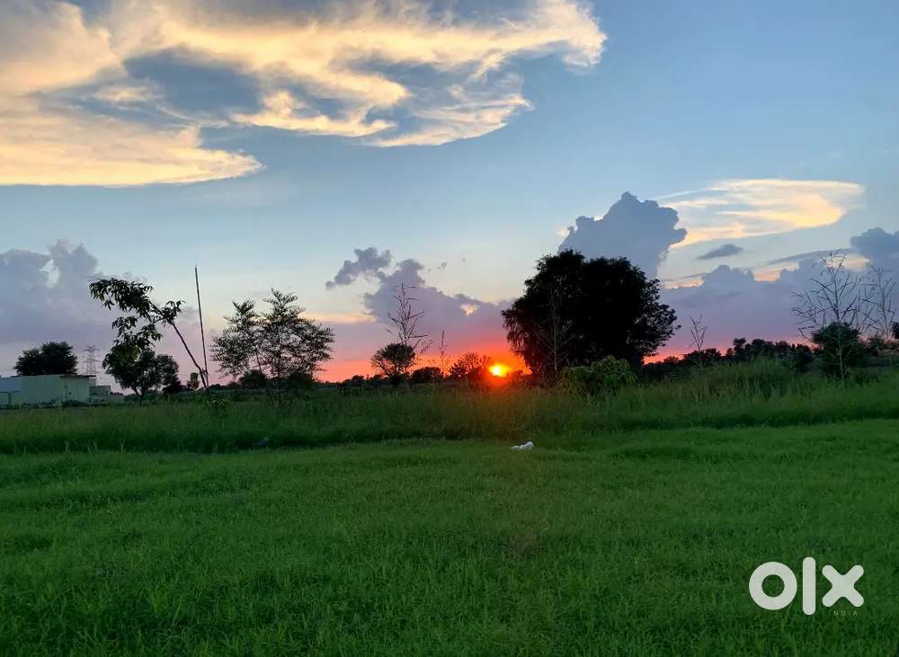 Amazing farm house for sale