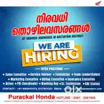 Marketing Executive
