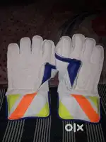 Wk gloves mens only today offer