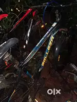 Belleza cycle