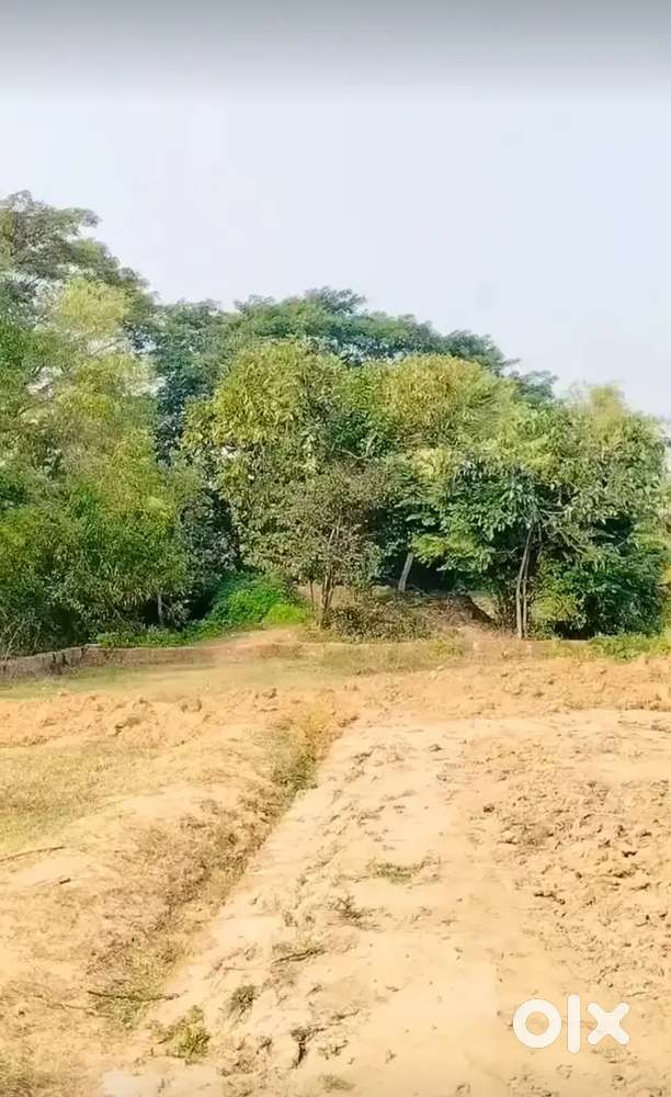 Gharbari plot with low cost