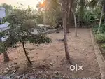 12.6 cent plot for sale in Puthusserry, Mallappally
