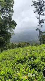 റിസോറ്റിനും മറ്റും പറ്റിയ മലനിരകൾ കൊണ്ട് സുന്ദരമായ സ്ഥലം വില്പനക്ക്