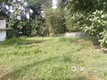 40 Cent land for sale in Kurichy,Changanacherry,3.25 Lakhs/Cent