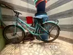 Raleigh branded cycle fresh condition