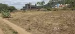 Land sale 11cent