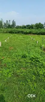 Location, On Road Bada Bypass Saidpur Chunni Lal Bareilly