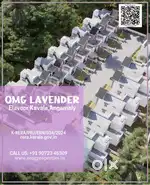 Right in Angamaly Town ️ Modern Architecture & Premium Amenities villa